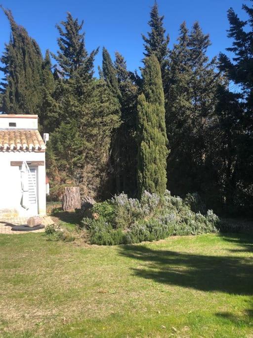 Gite La Lezardiere Acces Prive Canal Du Midi ** Castelnaudary Exterior foto